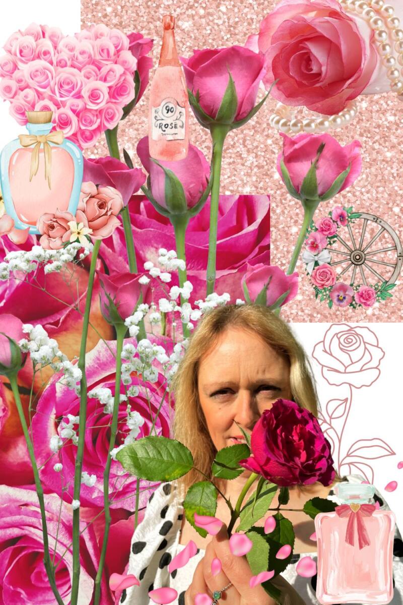 20 Inspirational Quotes About Pink Roses To Brighten Your Day