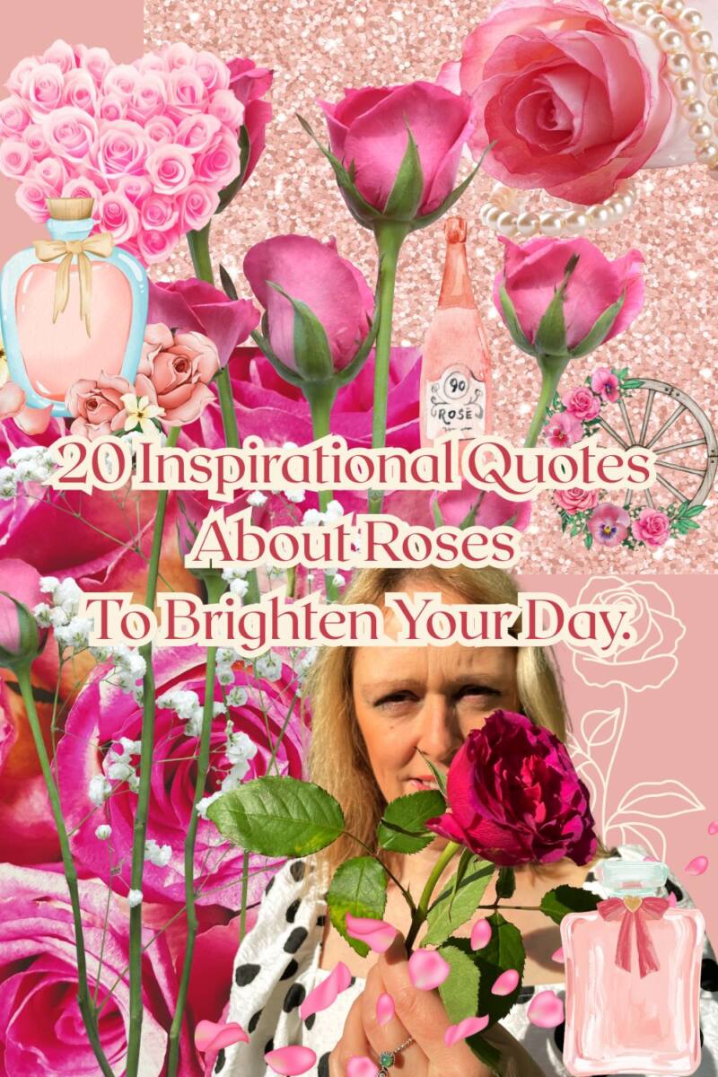 20 Inspirational Quotes About Roses To Brighten Your Day