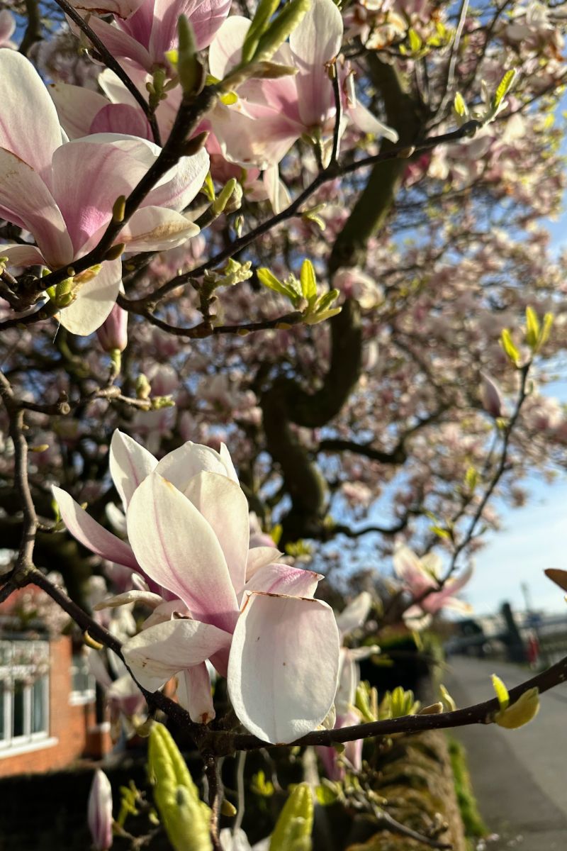 Styling A Long Floaty Maxi Dress From The Charity Shop Styling A Long Floaty Maxi Dress From The Charity Shop