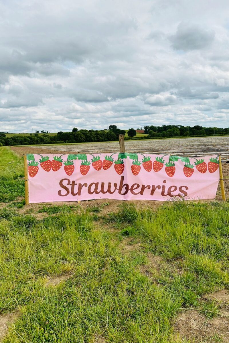 66 Healthy Smoothie And Smoothie Bowl Recipes (UK Edition) 8 Easy Strawberry Recipes That Taste Like Summer