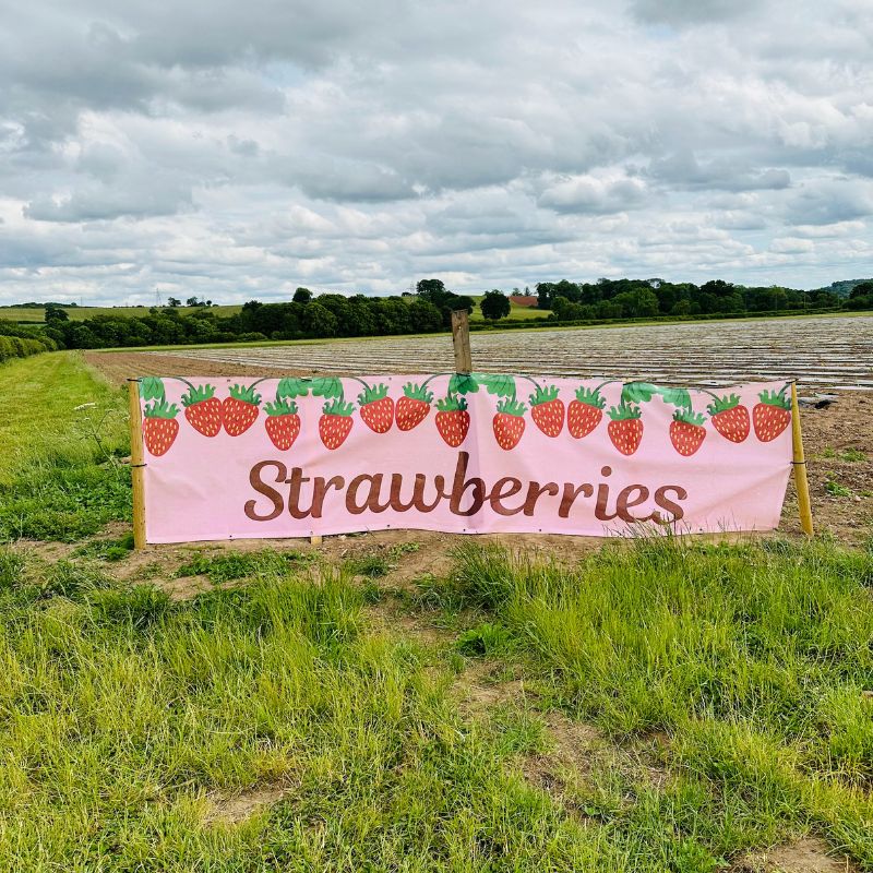 8 Easy Strawberry Recipes That Taste Like Summer: