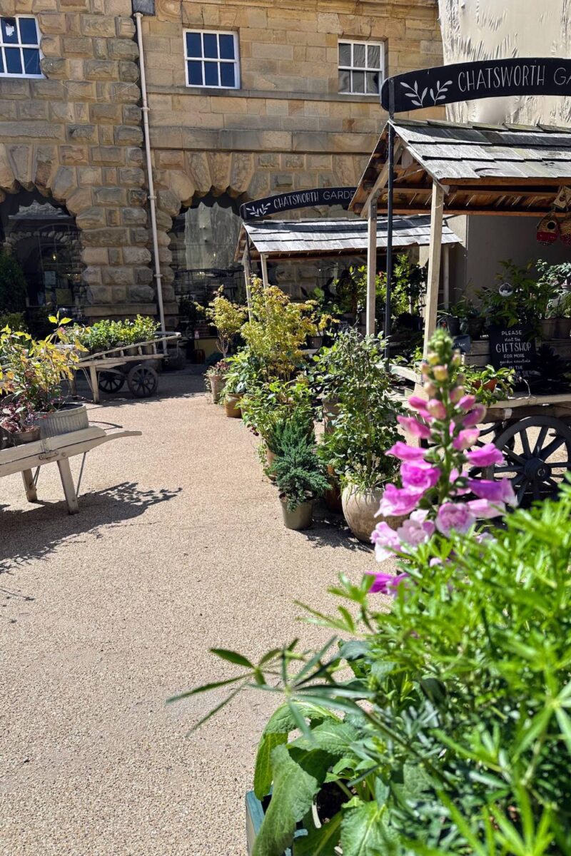 Bakewell Garden Flowers: Stunning Blooms You Need To See This Season A Charming Day At Chatsworth House And Tea Rooms Wearing My Light Blue Polka Dot Dress