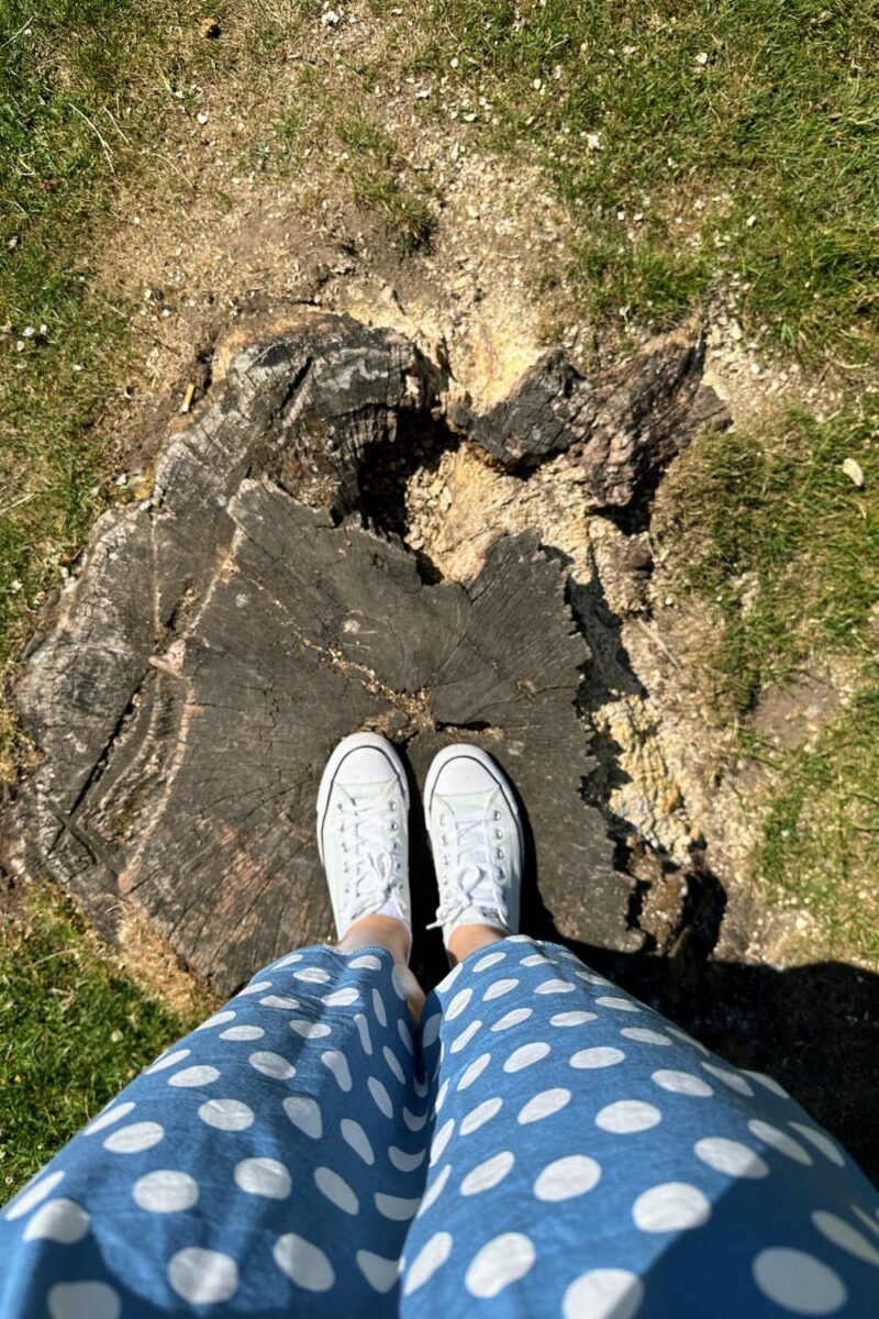 A Charming Day At Chatsworth House And Tea Rooms Wearing My Light Blue Polka Dot Dress