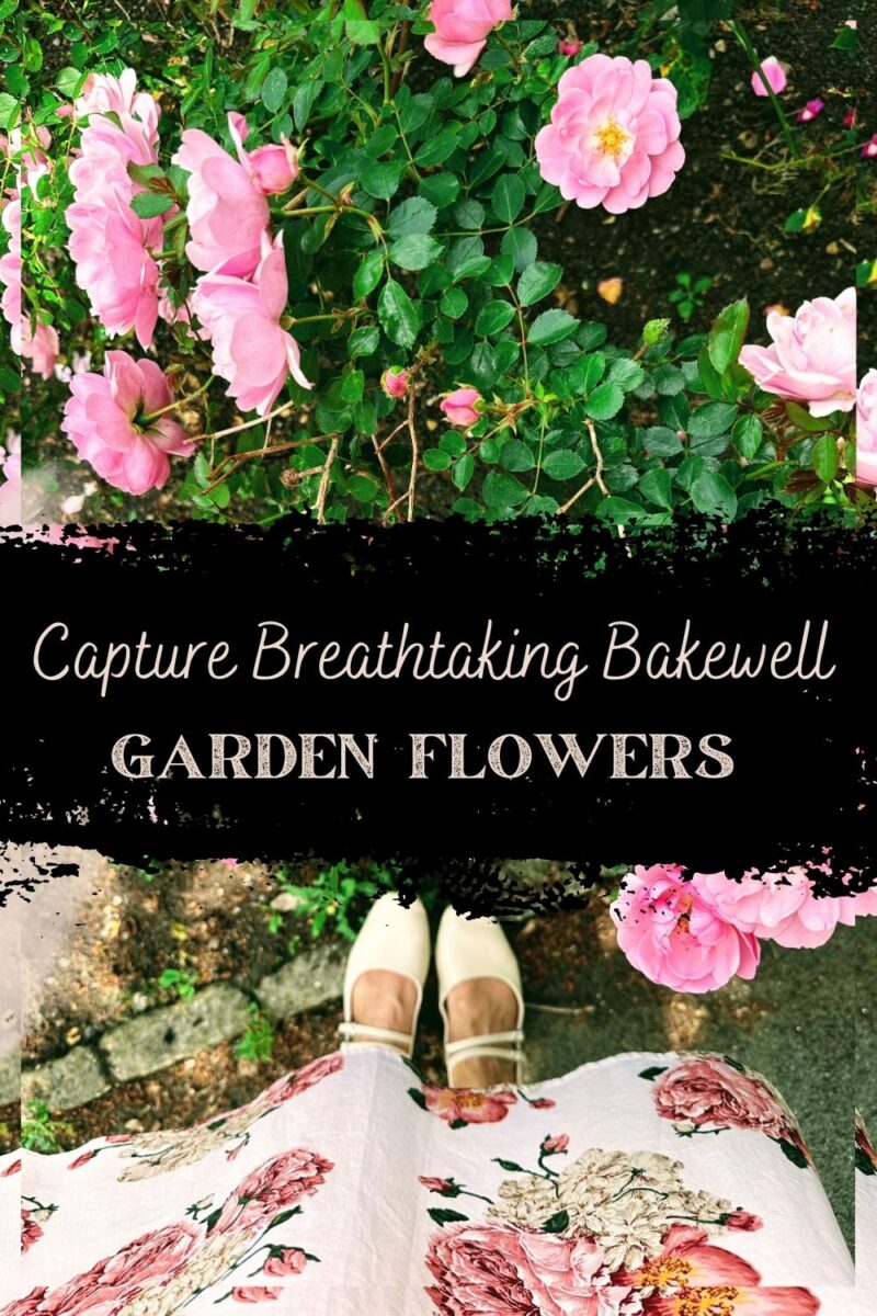 Bakewell Garden Flowers: Stunning Blooms You Need To See This Season Capture Breathtaking Bakewell Garden Flowers During The Summer Season