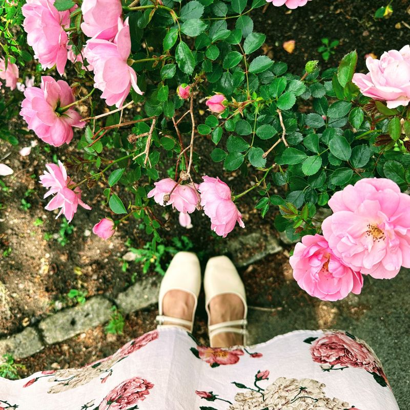 Bakewell Garden Flowers: Stunning Blooms You Need To See This Season Bakewell Garden Flowers: Stunning Blooms You Need To See This Season