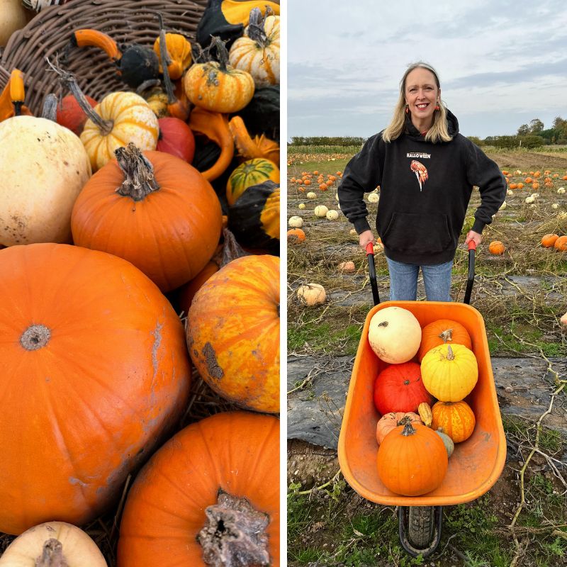 Happy National Pumpkin Day!