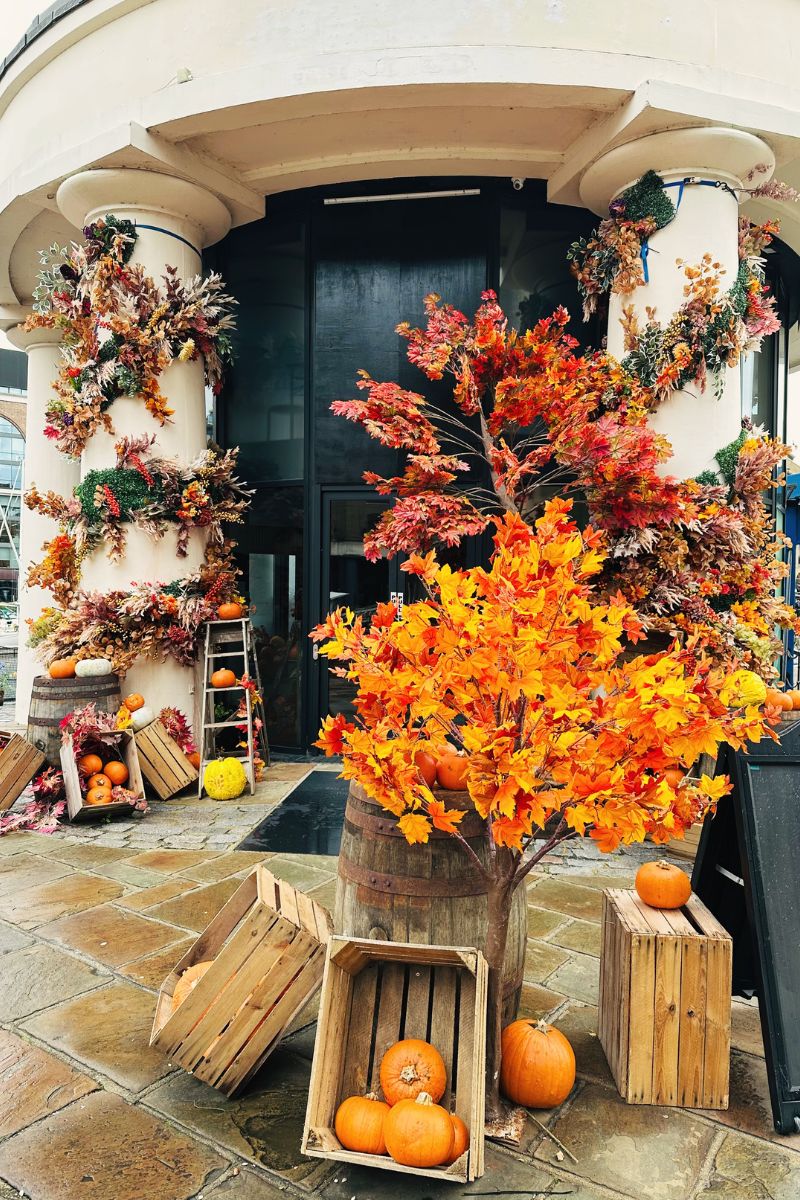 Autumn Photos At The St Katharine Docks Pumpkin Patch Pumpkin Patch