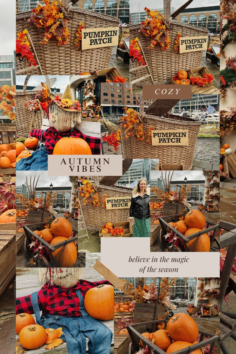 Autumn Photos At The St Katharine Docks Pumpkin Patch Autumn Photos At The St Katharine Docks Pumpkin Patch