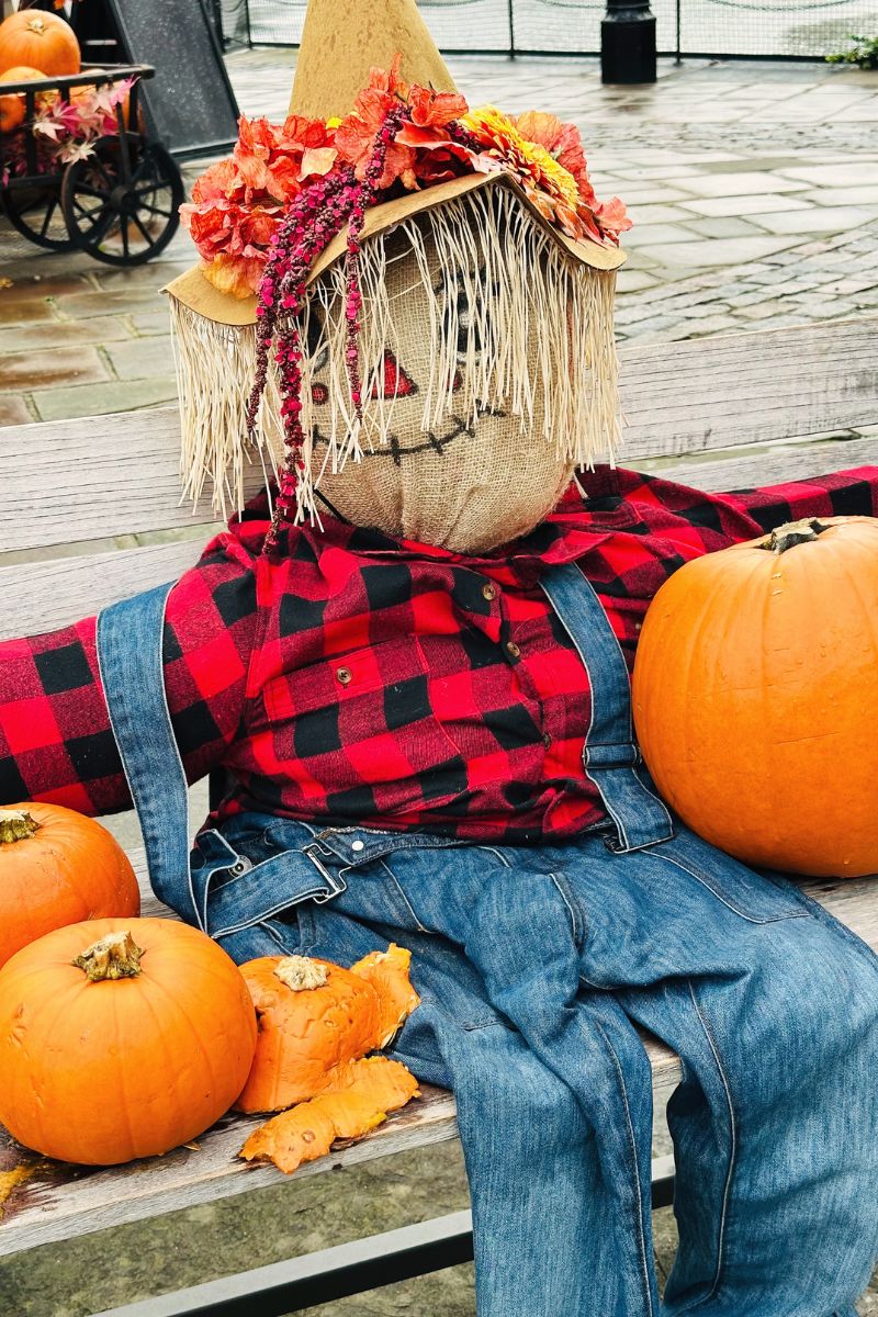 Autumn Photos At The St Katharine Docks Pumpkin Patch Autumn Photos At The St Katharine Docks Pumpkin Patch