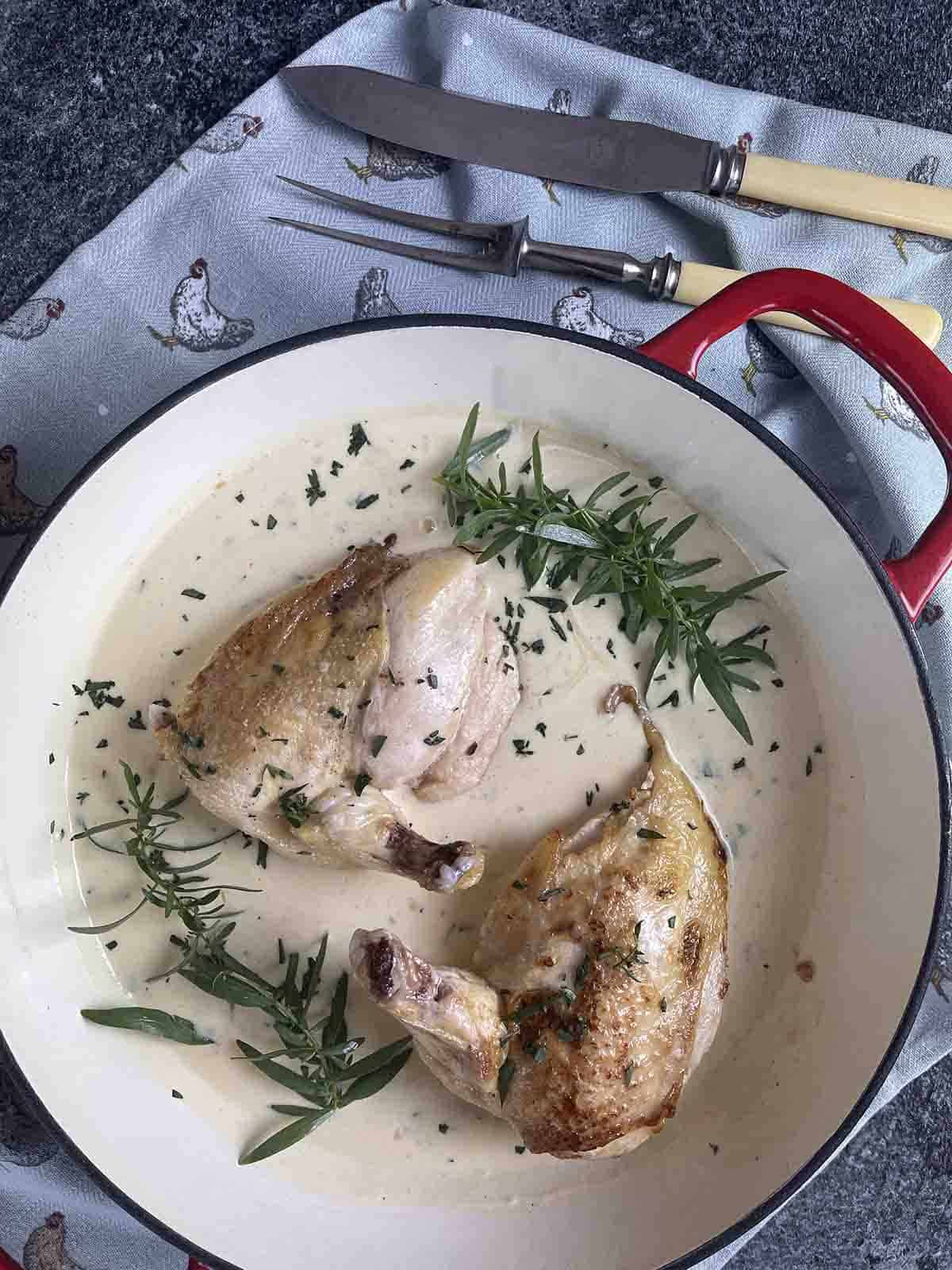 close up of chicken in creamy tarragon sauce.