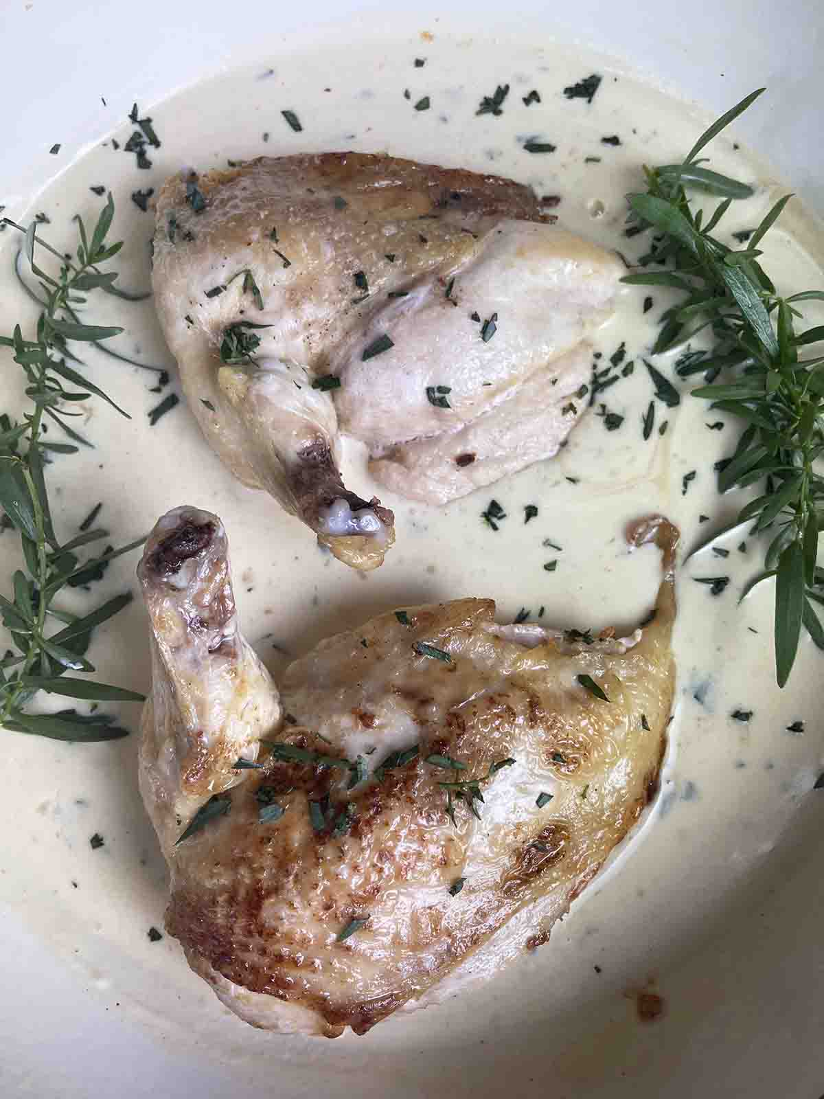 close up of chicken supreme in tarragon sauce.