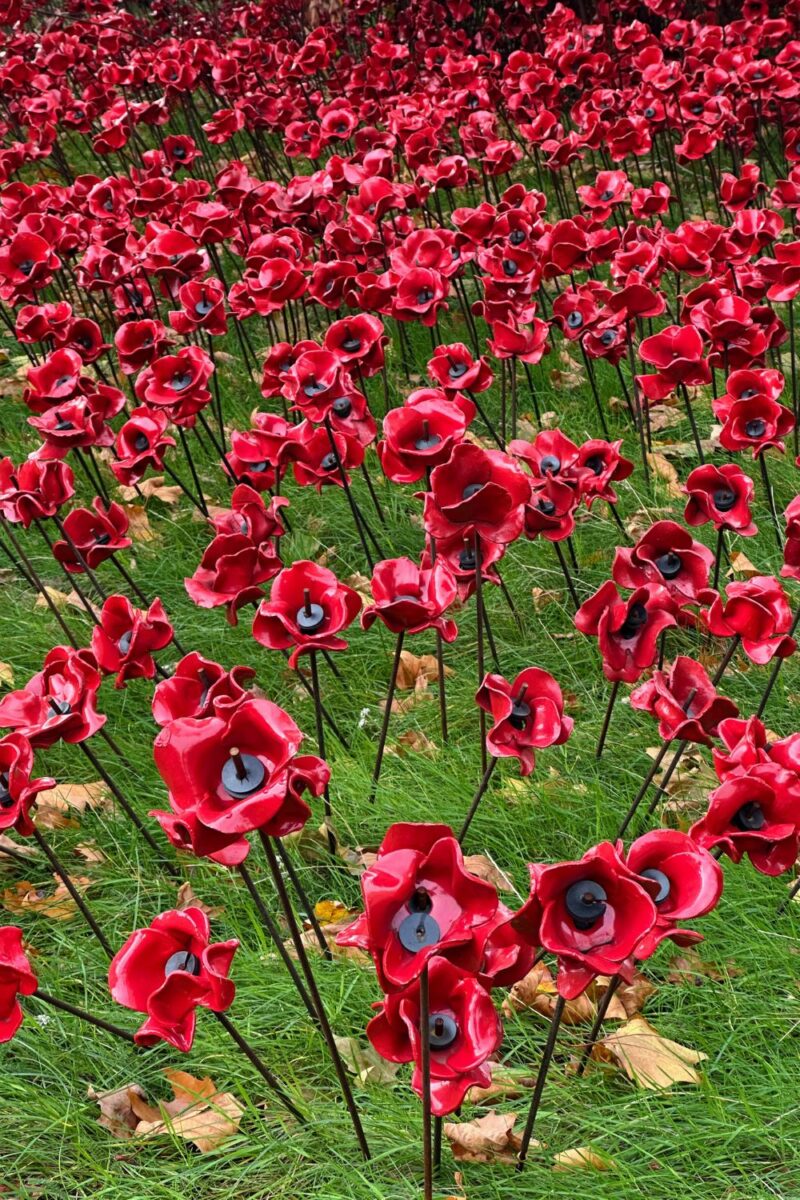 The Tower of London Poppy Display
