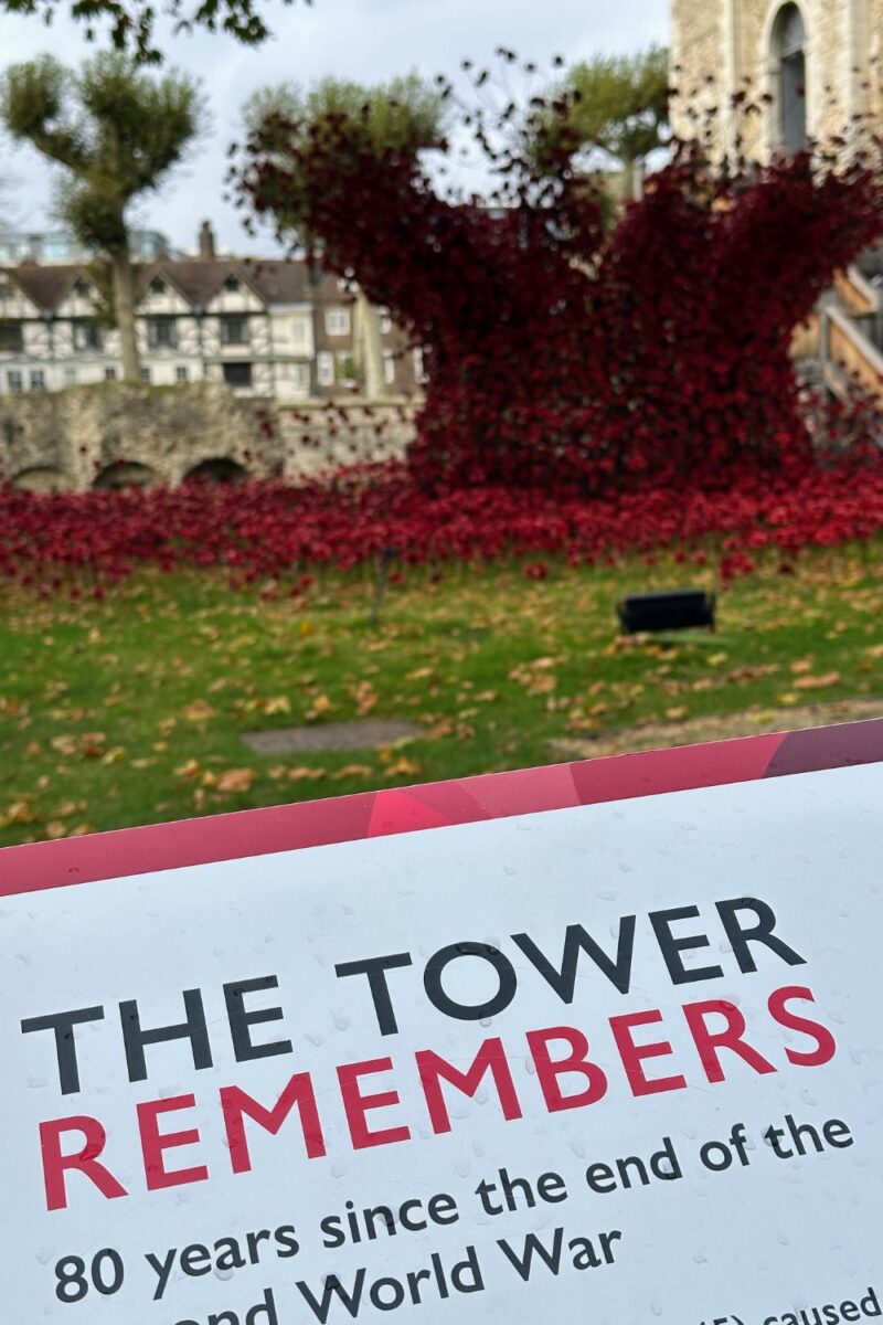 The Tower of London Poppy Display The Tower of London Poppy Display