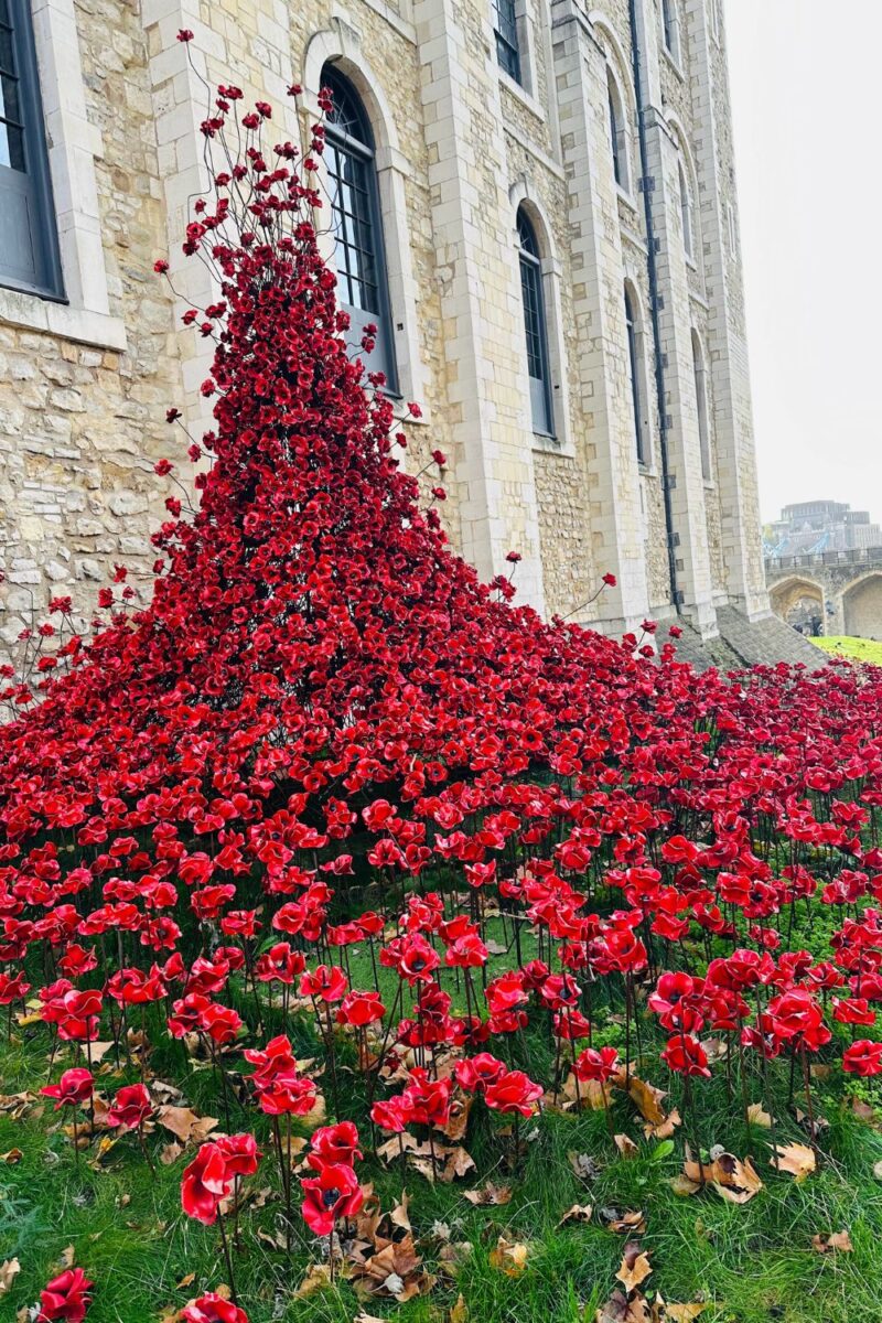 The Tower of London Poppy Display The Tower of London Poppy Display