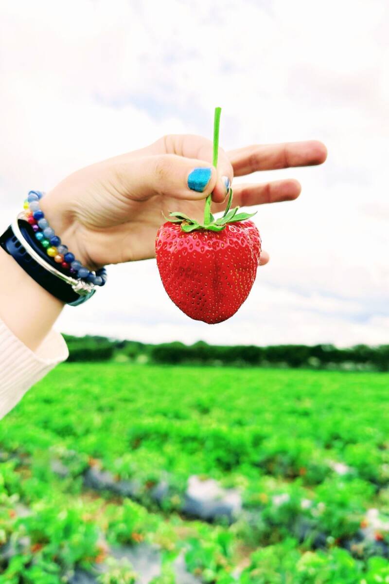 66 Healthy Smoothie And Smoothie Bowl Recipes (UK Edition) 66 Healthy Smoothie And Smoothie Bowl Recipes (UK Edition)