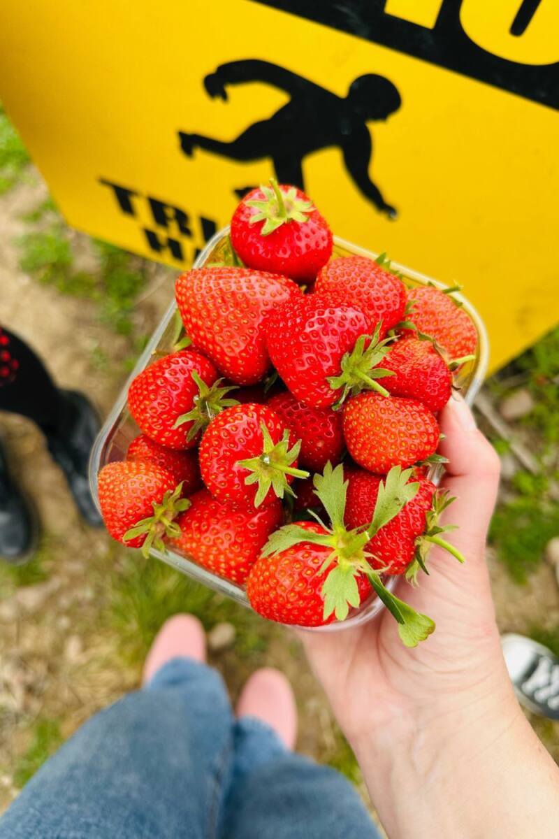 66 Healthy Smoothie And Smoothie Bowl Recipes (UK Edition) 66 Healthy Smoothie And Smoothie Bowl Recipes (UK Edition)