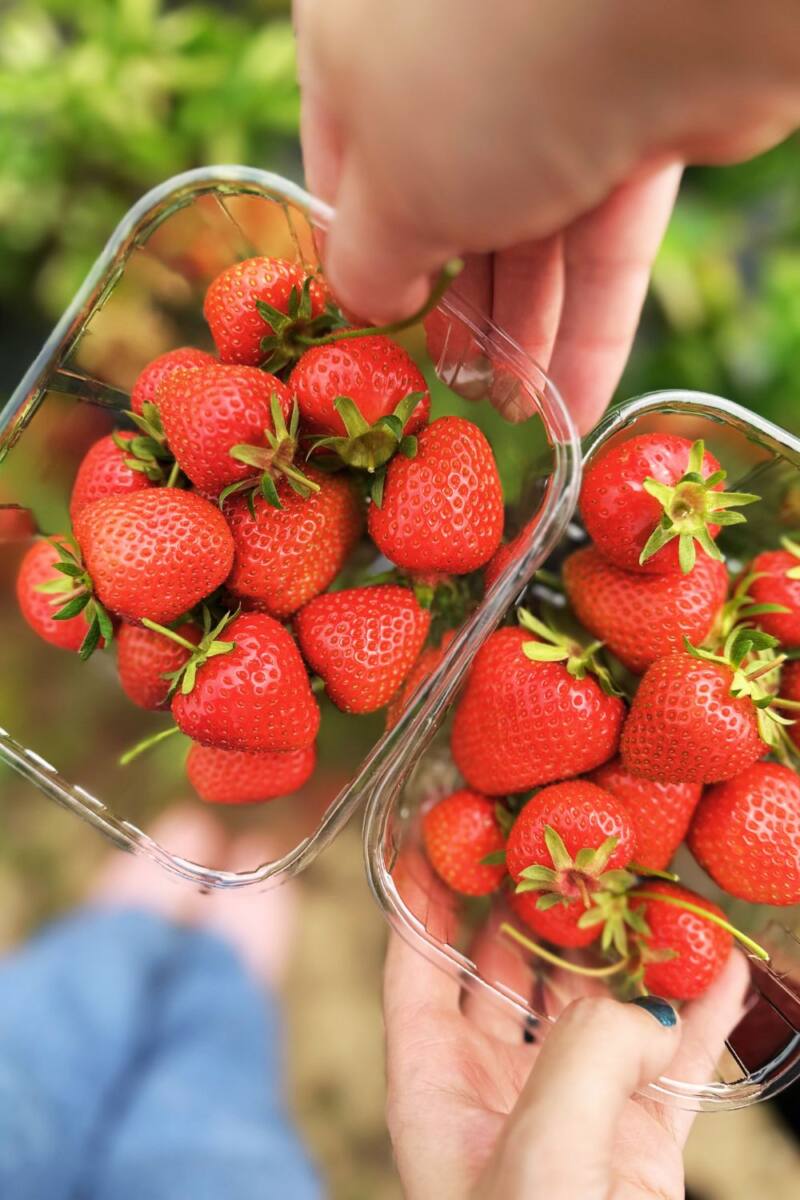 66 Healthy Smoothie And Smoothie Bowl Recipes (UK Edition) 66 Healthy Smoothie And Smoothie Bowl Recipes (UK Edition)